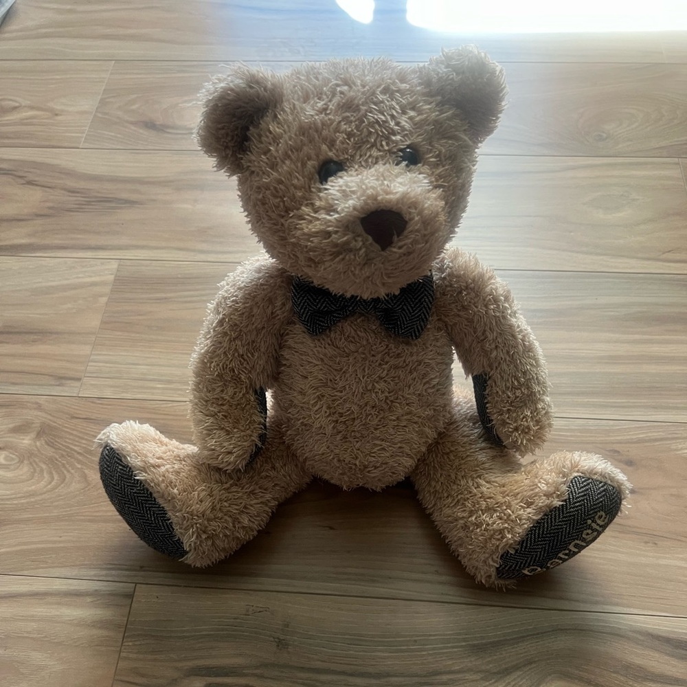 “Barnsie” Barnes and Noble Tan Stuffed Bear with Bow